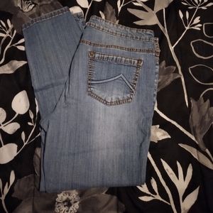 Size 12P Buffalo Skinny Jeans